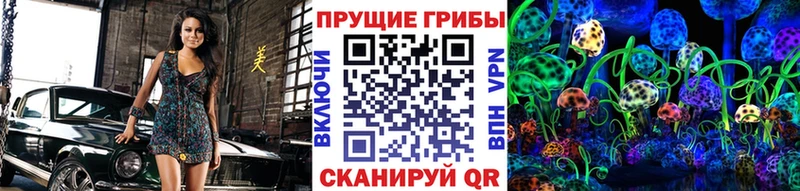 кракен онион  Бологое  Псилоцибиновые грибы MAGIC MUSHROOMS 